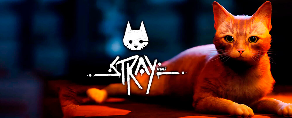 Stray