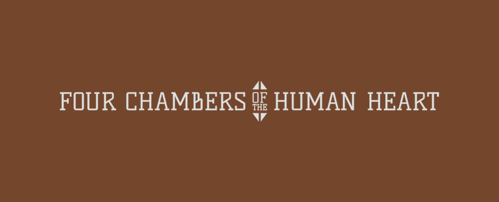 Four Chambers of the Human Heart